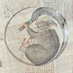 La Mort aux Rats | 2022<br/> 50 x 50 cm